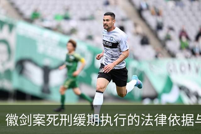 徽剑案死刑缓期执行的法律依据与社会影响分析
